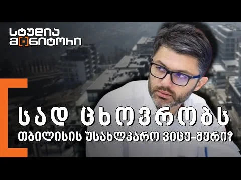 სად ცხოვრობს თბილისის უსახლკარო ვიცე-მერი?